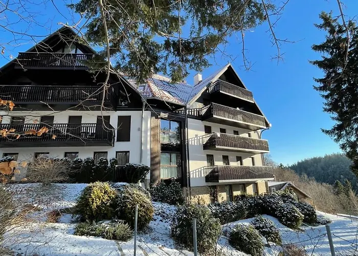 Dziki Panorama Gor, Duzy Taras Z Widokiem Na Gory