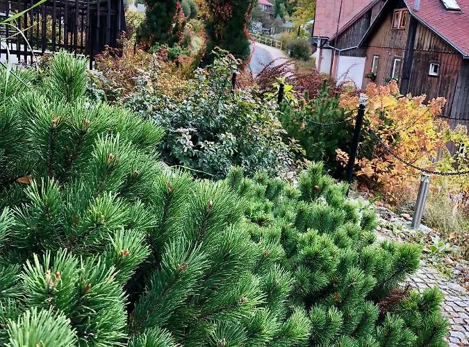 Dziki Panorama Gor, Duzy Taras Z Widokiem Na Gory * Szklarska Poręba